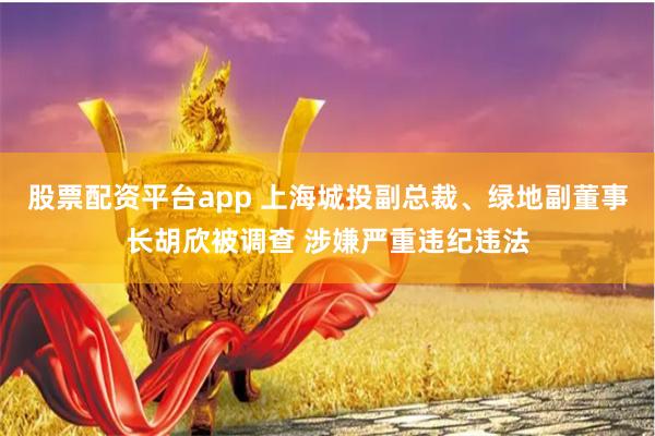 股票配资平台app 上海城投副总裁、绿地副董事长胡欣被调查 涉嫌严重违纪违法