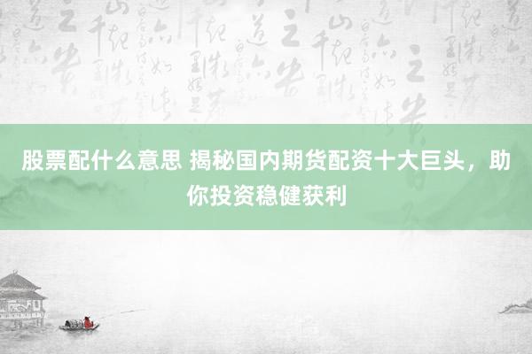 股票配什么意思 揭秘国内期货配资十大巨头，助你投资稳健获利